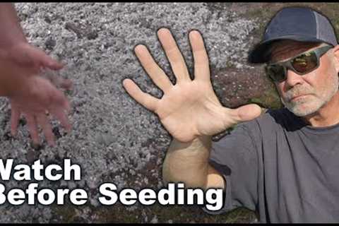 How To GROW GRASS SEED This Fall / Lawn Seeding Tips and Advice