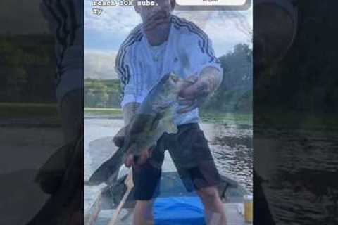 WAIT FOR THE RELEASE #fishing #fish #fishingshorts #bassfishing #bass #catchnrelease #sportfishing