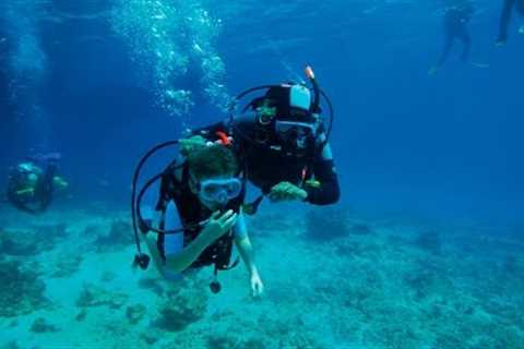 Discover Scuba Diving Mallorca - Skualo Diving