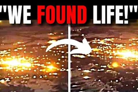 Has the James Webb Telescope Just Observed Lights in the Universe?
