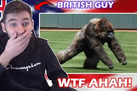 British Guy Reacts to Craziest Animal Interference Moments in American Sports History