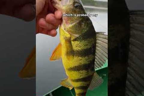 the Most Underrated Freshwater Fishery