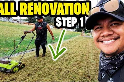 FALL LAWN RENOVATION ~ STEP 1 MOW LOW DETHATCH ~ Can't believe it takes more than 2 😳