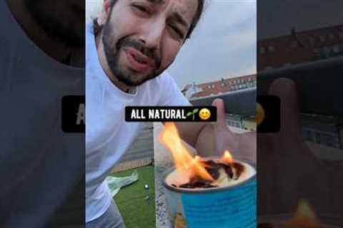 DIY Mosquito Repellent using Toilet Paper and Herbs | creative explained