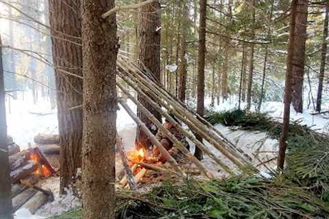 Building Primitive Shelter In Winter Forest, Outdoor Cooking, Survival Skills, Nodya Campfire