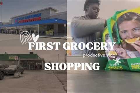 FIRST GROCERY SHOPPING AS A NEW IMMIGRANT IN CANADA 🇨🇦 🍁+THINGS I BROUGHT FROM GHANA