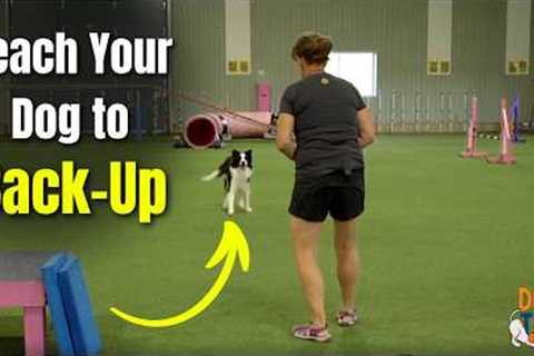 Teaching Your Dog The Back Up Trick: Tips, Criteria, Strategy