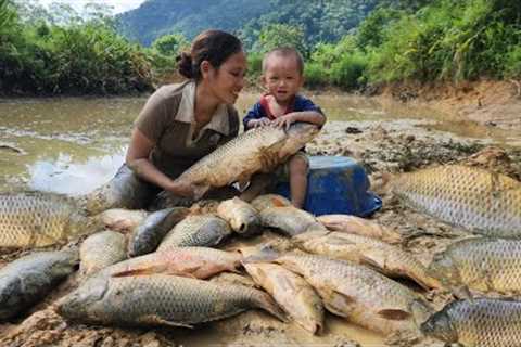 How to catch giant fish in a muddy pond with her son - the daily life of a single mother