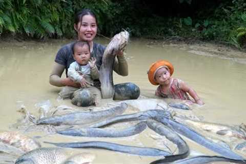 How to catch fish and trap fish to sell at the market - preserve fish all year round
