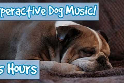 How to Calm a Hyperactive Dog! Music to Reduce Stress, Anxiety and Calm Destructive Dogs and Puppies