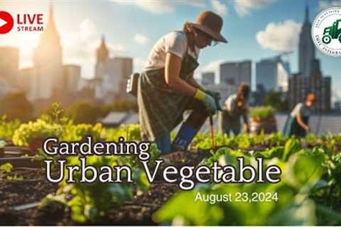 Gardening Urban Vegetable