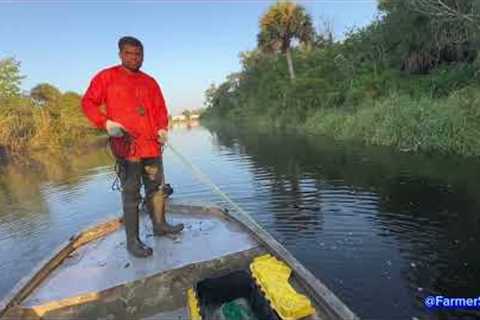 🇬🇾 ST JOHNS RIVER | HASSA |  CATCH | CLEAN | COOK | HASSA CURRY | Cascadoux | Tamuatá | Kwie Kwie