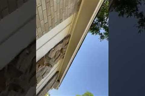Foundation cracks that continue into wall. #foundation #crack #homeinspection