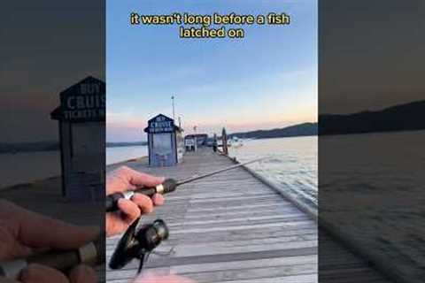 Bass fishing on a public dock 🐠🌆