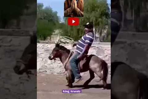 Funny Accidents 2 #funny #comedy #realfoolsfunny #trending #viralshorts #shorts #viral #videos #new