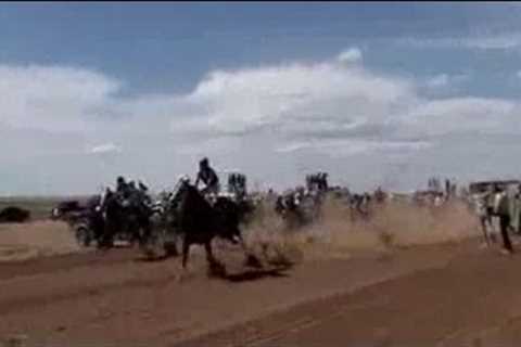 Illegal horse racing runs wild