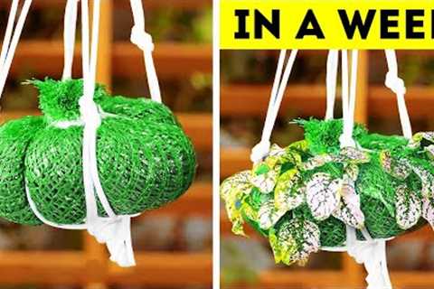Garden Hacks 101! Simple Tips for a Thriving Garden
