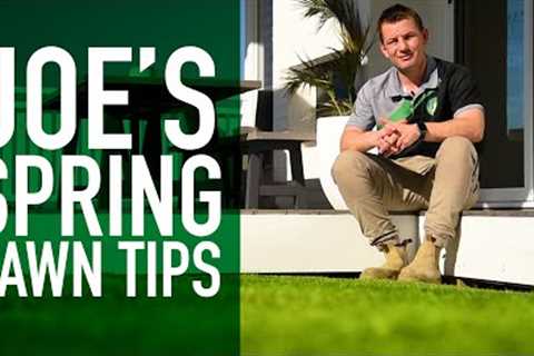 7 Spring Turf Tips from an Industry Expert | Joe’s Favourite Lawn Tips in Preparation for Spring