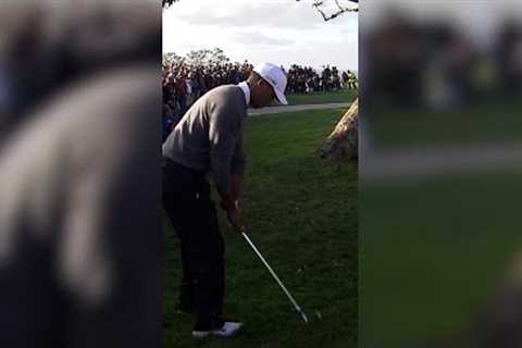 Tiger’s best shots at Torrey 🔥