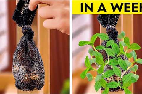 🧑‍🌾🌱 Garden Hacks 101! Simple Tips to Unlock your Inner Gardener