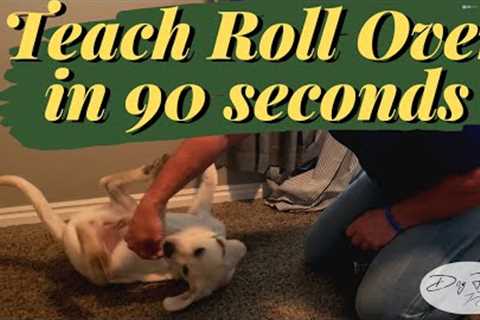 Teach my puppy to roll over // Dog Focus Training Tips
