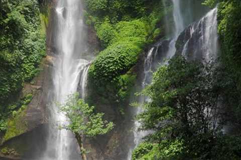Soothing and Relaxing Music🌱Reduce Stress &amp; Stop Overthinking🌷