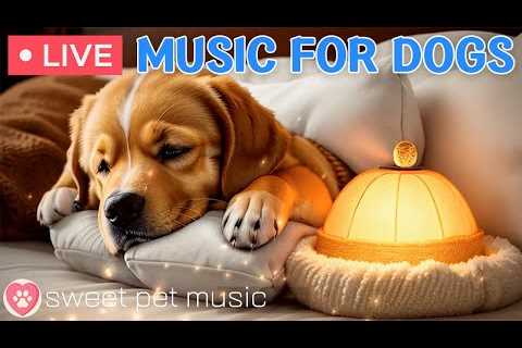 24/7 Psychological stability music for anxious dogs｜Separation Anxiety Music &amp; Stress Relief..