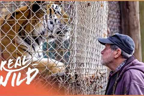The Man With 200 Big Cats (Wildlife Documentary HD) | Predator Pets | Real Wild