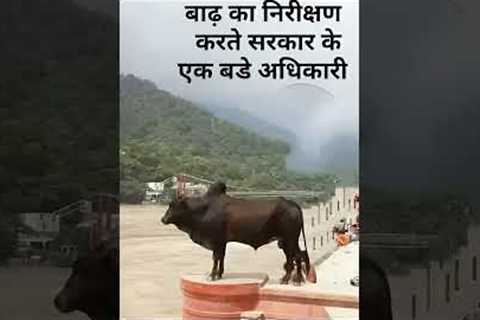 #new#funny#video#viral#youtube#short₹