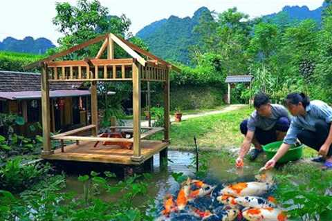 Buy lots of mini KOI fish to raise. Fix the fish tank. Life is so happy in the forest together