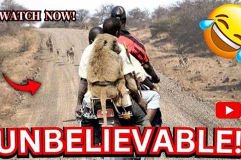 CRAZY Shocking and Funny Videos You’ll Only See in Africa! 😂 #Viral #MustWatch Episode 7