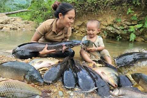 Meet a giant school of fish - catch fish to sell at the market - cook with your son