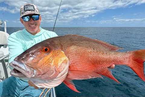 Monster Mutton Snapper (Catch Clean &amp; Cook)