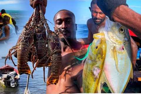 DANGEROUS iNFESTED SHARK WATER ￼LOBSTER JACK CATCH N COOK