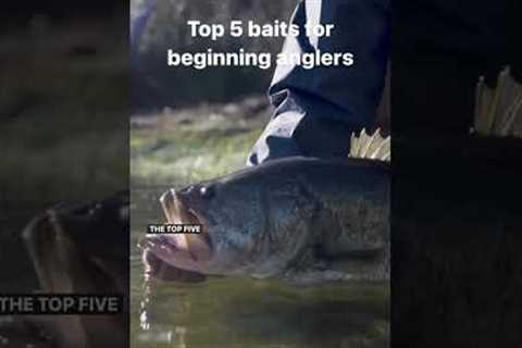 5 Best Bass Fishing Lures for Beginners!