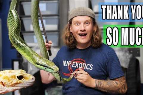 Reptile Room Tour August 2024
