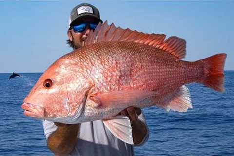 Fishing 100 miles offshore for American Red Snapper *Catch N Cook*