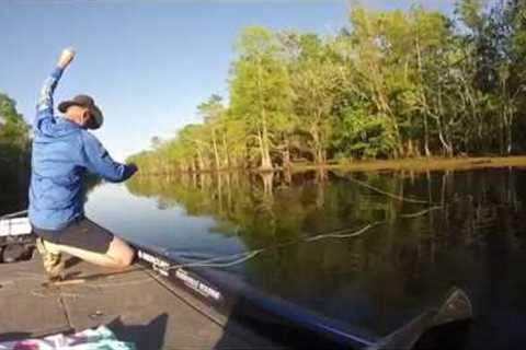 some bream fly fishing basics