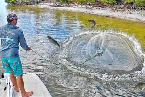I Caught the Best Eating Fish Ever in a *HUGE NET* (How to Catch Clean &amp; Cook)