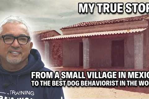 How I Became The Best Dog Trainer In The World | My True Story