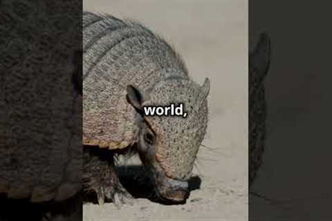 Rare and Exotic Animals