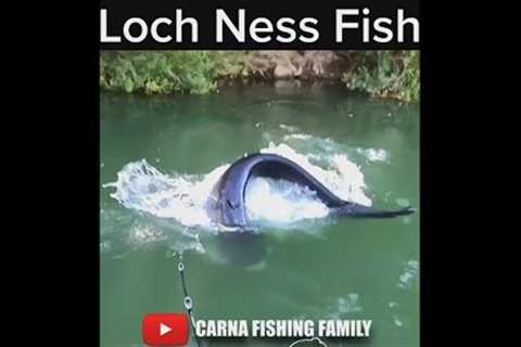 LOCH NESS CATFISH 😱 #fishing #silure #shorts