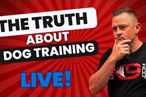 The Truth About Dog Training