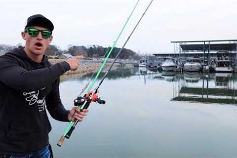 Catch MORE Fish BANK FISHING Lakes (Bass Fishing Tips)