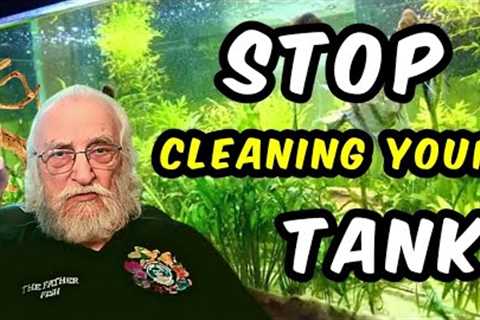 The Simple Secret to Keep Your Aquarium Clean!
