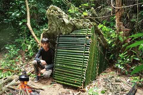 2 Days solo survival (NO FOOD, NO WATER) Survival Shelter under a rock, Catch and Cook