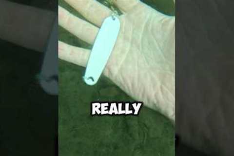 The reality of finding lost lures UNDERWATER!