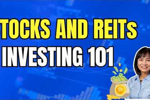 STOCKs and REITs Investing for Beginners / Stock Market Investing 101
