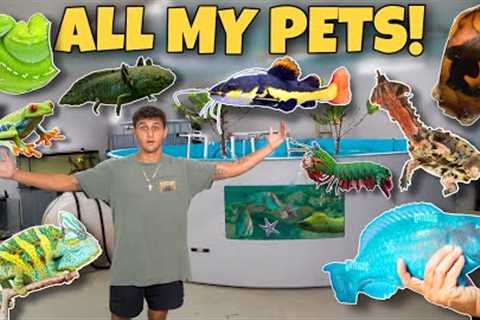 UPDATE On ALL My EXOTIC PETS!!