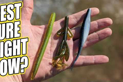 Best Lure for Bass Fishing Right Now? Which Walmart Lure Catches Bass